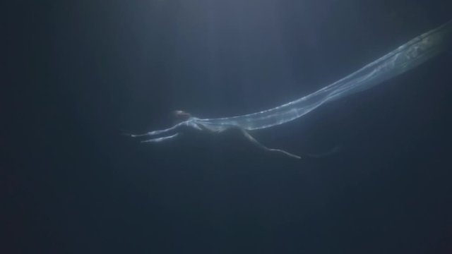 Attractive stylish model swimming and posing underwater
