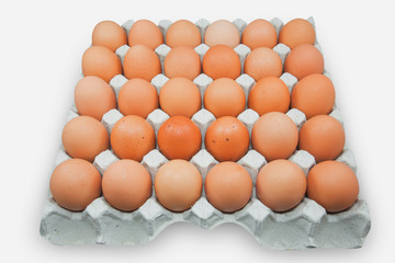 Egg in white corrugated trays.