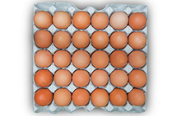 Egg in white corrugated trays.