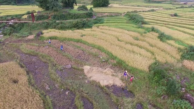 Aerial view of beautiful Cat Cat village in Sapa, Lao Cai, Vietnam