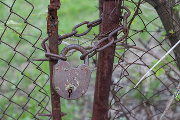Large closed iron lock of brown color with rust and peeling paint on a thick chain connecting the gates of a metal fence against a background of green grass. Abandoned territory covered in mystery.
