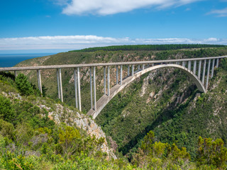 Bungy jumping Sports in South Africa in Canyon