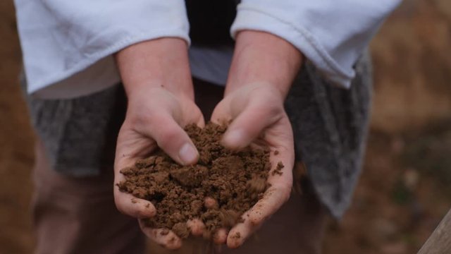 planting a plant