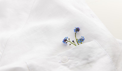 Obraz na płótnie Canvas Macro Close Up of Adorable Tiny Blue Forget Me Not Flowers in White Linen Pocket