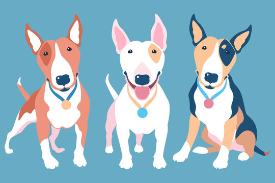 Vector set of Bull Terrier dogs of different typical colors