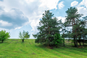 Landscape. Green meadow, and blue sky.