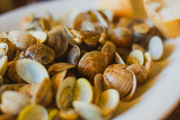 roasted edible shells on a plate