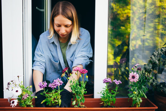 Female gardener plants seeds and flowers into pot on window shelf outside her balcony window. Young woman gardens in her free time to decorate her apartment. Green and ecological initiative