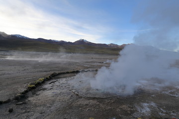 The El Tatio geysers in the Atacama Desert in Chile