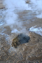The El Tatio geysers in the Atacama Desert in Chile