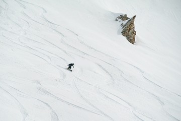 Naklejka na ściany i meble Freeride in Gudauri Georgia caucasus resort snowboarder skier