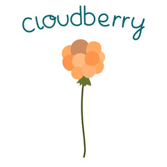 Branch of cloudberry.  Botanical card design.