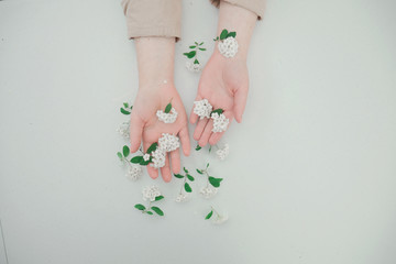 Female hands white flower background spirea  , top view. Concept natural organic skin care