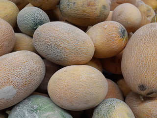 Musk melons (cantaloupe melon) on a market