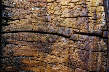 wood texture background