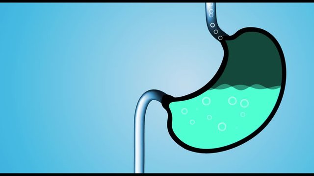 Digestive process in human stomach. Treatment of Gastric gut line. Internal digestion with gastric acid.Abdomen organ Cartoon silhouette. Person diet, Food particles are digested by stomach acid
