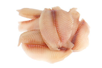 fresh raw tilapia fish fillet isolated on white background