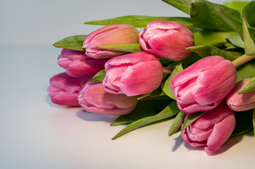 Obraz premium bouquet of pink tulips
