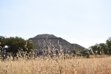 parque