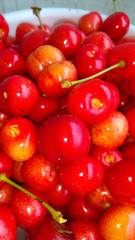 
juicy red cherries from the garden