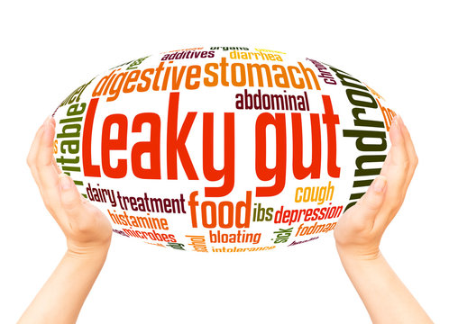 Leaky Gut Syndrome Word Hand Sphere Cloud Concept