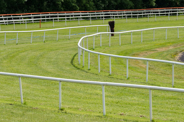 close up on circuit barriers of Empty horse racing track,