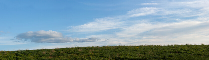 Obraz premium Panorama of bright blue with white clouds spring sky and a green field with wild yellow flowers.
