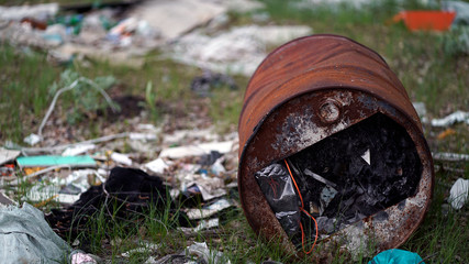 Forest Pollution. Dump Garbage in Woods.