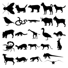 Set of 25 animals. Housefly, Bear, Bird, Snake, Lizard, Bull, Pig, Fisher, Giraffe, Goose, Ferret, Scorpion, Hare, Cheetah, Lion, Crow, Goat, Dog, Panther, Chameleon, Rabbit.