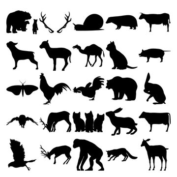 Set of 25 animals. Horns, Snail, Badger, French bulldog, Little Sheep, Camel, Pig, Moth Insect, Rooster, Cock, Bear, Owl, Elk, Kitten, Rabbit, Cow, Goshawk, Orangutan, Fox, Deer.