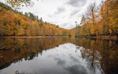 Obraz premium The most beautiful colors of autumn in Yedigöller National Park