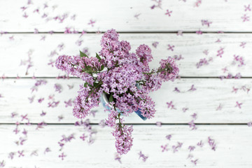 Spring background. Lilac branches and petals on a wooden white rustic table top view.