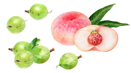 Gooseberry with leaf and peach watercolor illustration isolated on white background