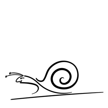 black and white graceful snail elongated in motion