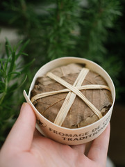 Fototapeta premium Goat cheese in leaves. French food. image with selected focus