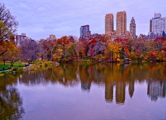 Central Park landscape in autumn