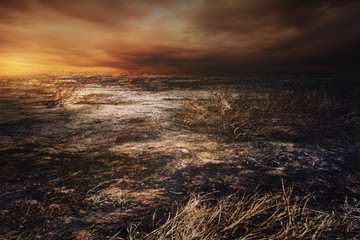 After wildfire  with dust and ashes/area of illegal deforestation..Global warming/Ecology concept background. - obrazy, fototapety, plakaty