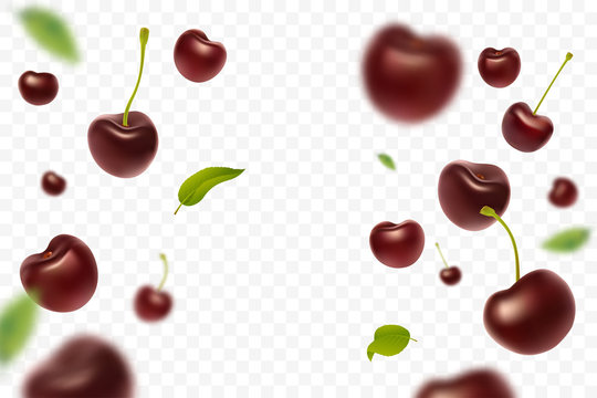 Falling cherries with green leaves isolated on transparent background. Realistic ripe red cherry. Flying defocusing cherry berries. Applicable for juice advertising. Vector illustration.