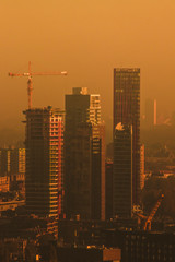 Rotterdam skyline at sunset