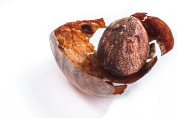 Avocado shell with stone