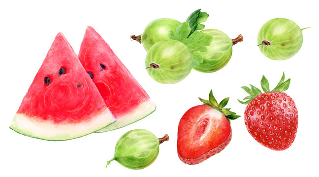Gooseberry with leaf strawberry watermelon slice watercolor illustration isolated on white background