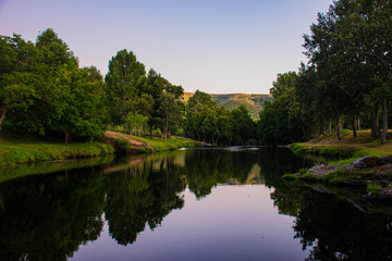 Fototapeta na wymiar Bosque reflejado en el rio