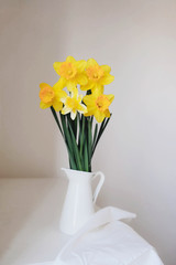 Beautiful fresh yellow daffodil flowers in full bloom .