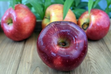 apples and plums