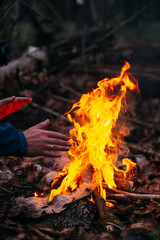 Man warms his hands on fire. Burning wood at evening in the forest. Campfire at touristic camp at nature. Barbeque and cooking outdoor fresh air. Flame and fire sparks on dark abstract background