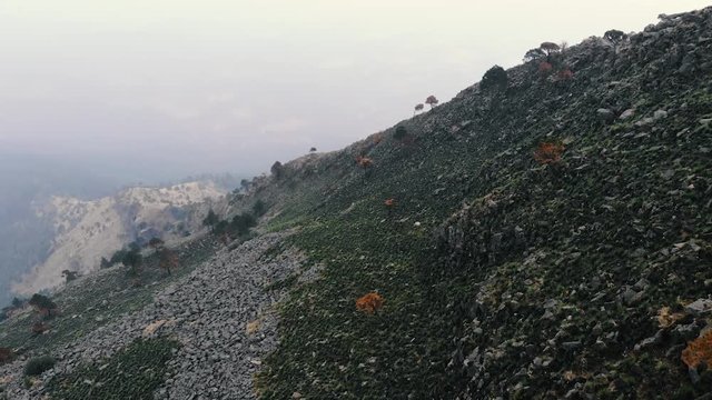 Drone flight over the grass and trees at the Ajusco vulcano (mountain) in Mexico City, Mexico