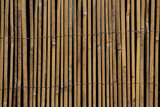 Sliced bamboo slats woven together by wire.  Fence privacy screen. Ornamental fence divider. Reed garden decoration background.