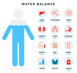 Human water balance, icons set for infographics. Water balance and its impact on the organs and systems of the human's body. Vector illustration.