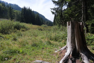 Paysage de montagne