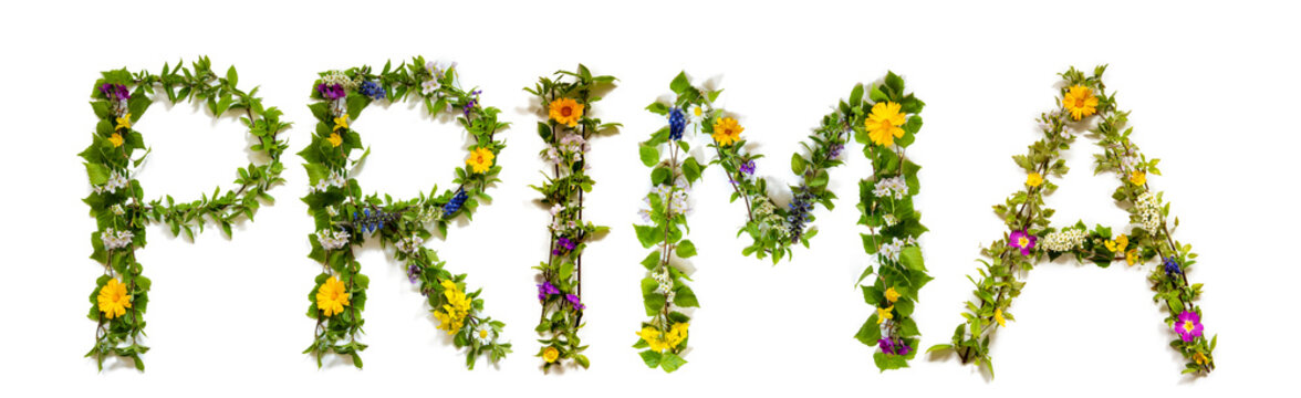 Flower, Branches And Blossom Letter Building German Word Prima Means Super. White Isolated Background